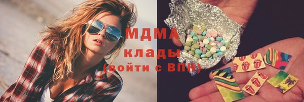 прущие грибы Алзамай