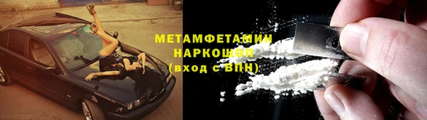 индика Пестово