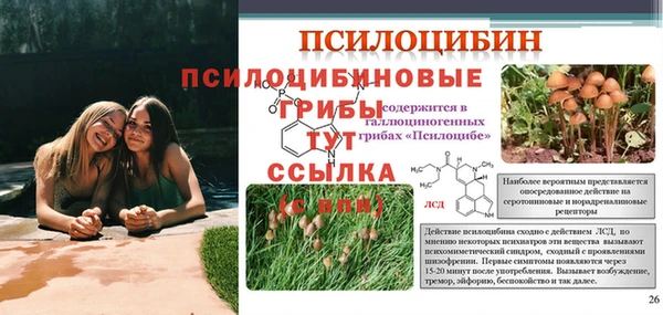 кристаллы Алексин
