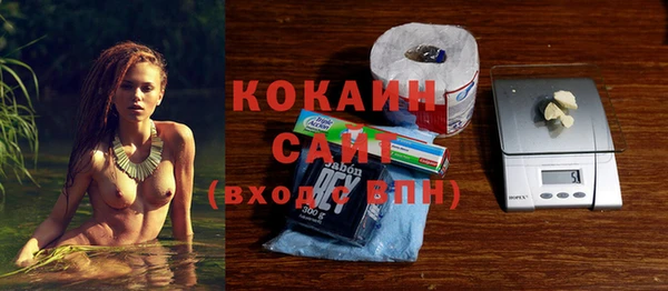 прущие грибы Алзамай