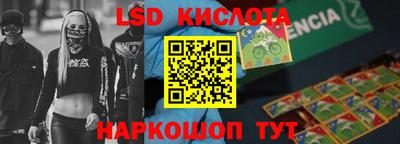 крисы Берёзовский