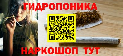 крисы Берёзовский