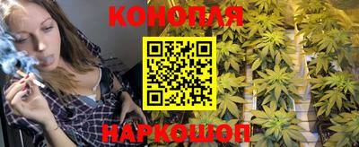 крисы Берёзовский