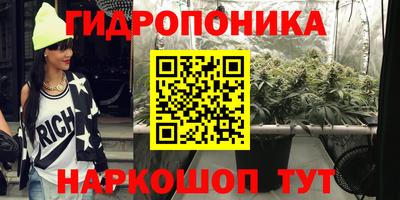 крисы Берёзовский